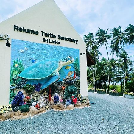 Shine Wave Turtle Beach Tangalle Bagian luar foto