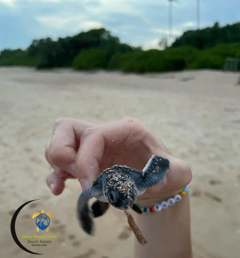 Shine Wave Turtle Beach Tangalle Bagian luar foto