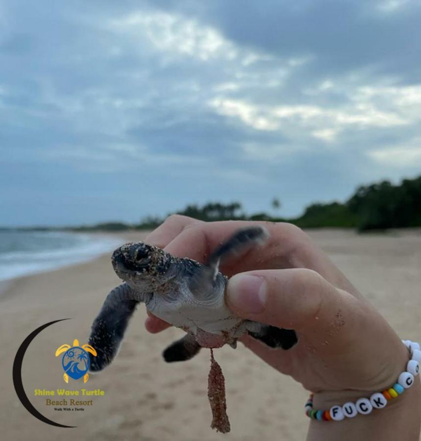 Shine Wave Turtle Beach Tangalle Bagian luar foto