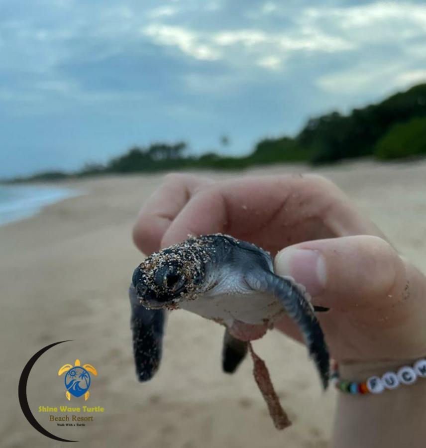 Shine Wave Turtle Beach Tangalle Bagian luar foto