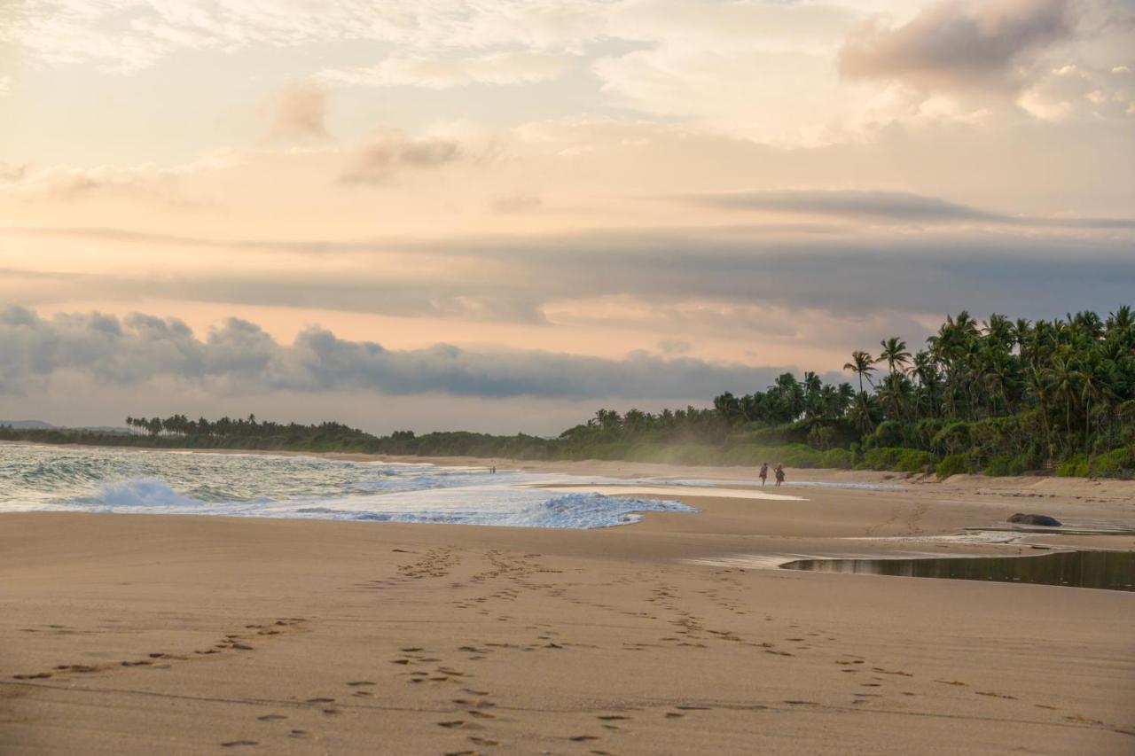 Shine Wave Turtle Beach Tangalle Bagian luar foto
