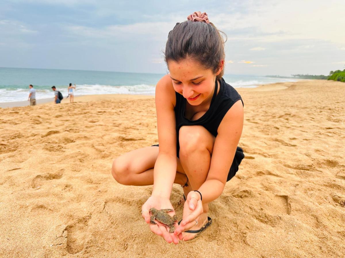 Shine Wave Turtle Beach Tangalle Bagian luar foto