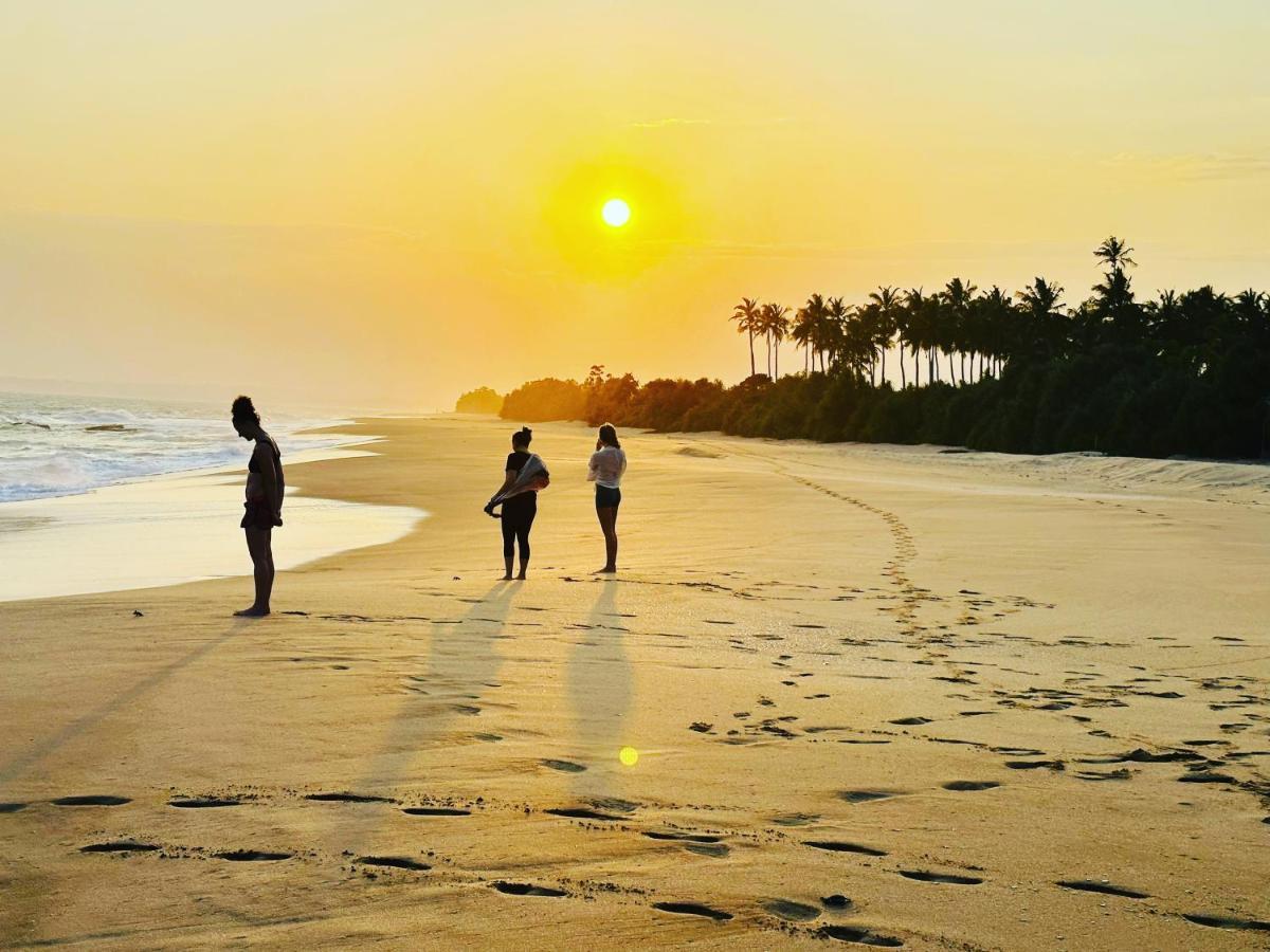 Shine Wave Turtle Beach Tangalle Bagian luar foto