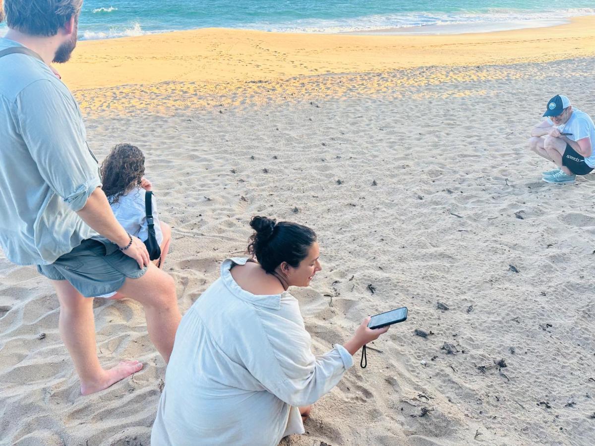 Shine Wave Turtle Beach Tangalle Bagian luar foto