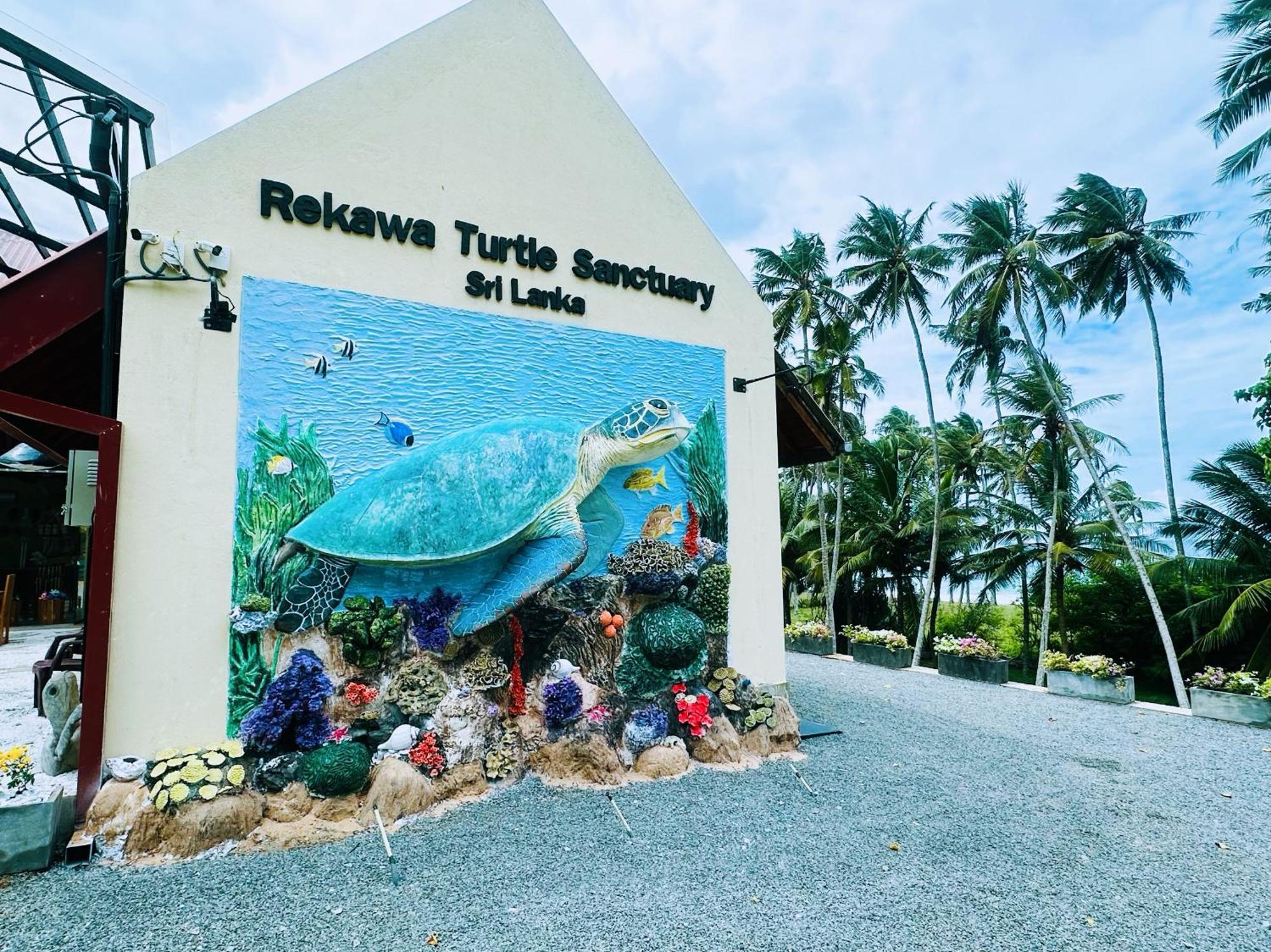 Shine Wave Turtle Beach Tangalle Bagian luar foto